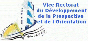 vice rectorate of development, foresight and orientation