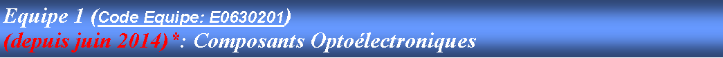 Zone de Texte: Equipe 1 (Code Equipe: E0630201)(depuis juin 2014)*: Composants Optolectroniques