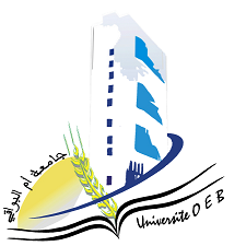 نيابة المديرية للبيداغوجيا