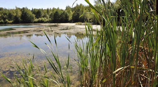 Laboratoire des ressources naturelles et aménagement des milieux sensibles