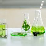 Laboratoire Biomolécules végétales et amélioration des plantes