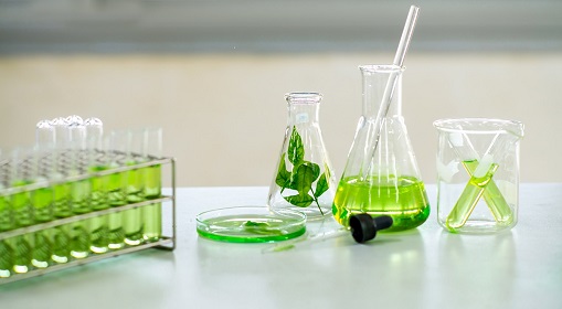 Laboratoire Biomolécules végétales et amélioration des plantes
