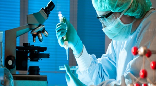 Laboratoire Substances Naturelles, Biomolécules et Applications Biotechnologiques